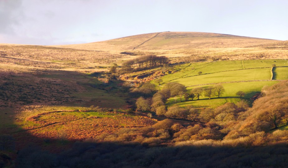 ugborough beacon view 3.jpg